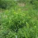 별샘농장 이미지