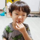 동해망상파파펜션 이미지