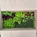 동진원예사 이미지