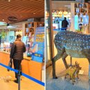 공주시청(본관) 이미지