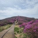 안녕반디 | 함양 지리산 숙소 추천 에어비앤비 반디스테이 내돈내산 후기