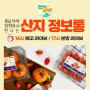 충남스토아