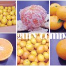 규리농장 이미지