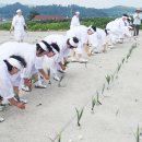 남도노동요 이미지