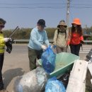 크린데이 이미지