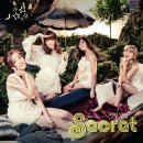 SHY BOY(샤이보이) - 시크릿 (SECRET) 이미지