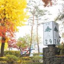 송원족발 - 강북구 월계로7나길 23 | 송원족발