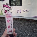 비슬산자연휴양림 | 🏕 🚐 대구 비슬산 자연휴양림 카라반 참꽃 10호 후기! 8인 가족여행 추천