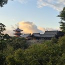 2590 | 오사카 교토 버스투어 내돈내산 일일투어 추천 점심 후기