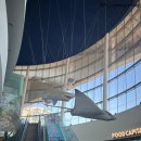 구비 | [아쿠아플라넷 일산] 수유실 위치 및 구비물품(feat.후기 포함) / 첫 아쿠아리움 대성공-!