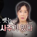 이성 꾀이는 살. 도화살. 홍염살. 반안살. 화개살 이미지
