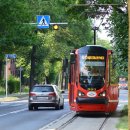 밀양약국 이미지