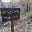 속초 청대산(231.8m), 주봉산(337.8m) 산행 #2 이미지