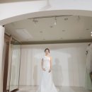 콩뿌리평화점 | 더화이트엘리자베스 2부드레스 피팅 후기 | 결국 포기하고 따로 계약한 이유😭