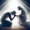 자비농장 이미지