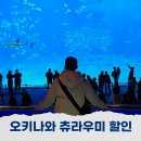 중부-현장-중부-1440 | 오키나와 츄라우미 수족관 입장료 가격 예약 할인 방법