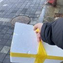 햇빛바다 관광펜션 네이버블로그