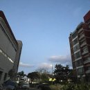아라사우나 네이버블로그
