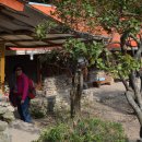 사철나무집민박 이미지