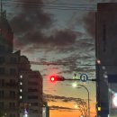 속초 일출 요가 서핑 ‘선라이즈 요가’