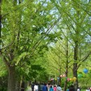 석가축인공수정소 | 영주여행]부처님오신날 가볼만한곳 부석사