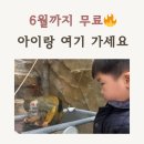 실옥로 | 아산곤충생태원 지금 무료?! 천안 아산 아이랑 가볼만한곳 리얼 후기 (+장영실과학관)