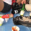동해참가자미 - 수성구 청수로40길 20 | 동해참가자미