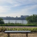 주무시5 이미지