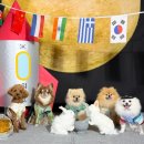 위드티쳐 이미지