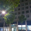 이문메디칼약국 | [이문3-1구역] 동대문 이문 3구역 임장 후기, 30대 직장인 시각의 동대문 이문 3구역