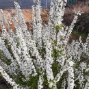 양동농장 이미지