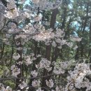 티엔티학원 이미지