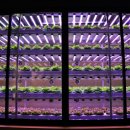 서울파피루스 이미지