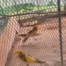 찬우농장 | 고양 아이랑 가볼 만한 곳 찬우물 동물농장