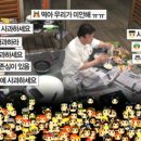 미디어사이