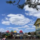 예다솜어린이집 이미지