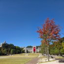 보성점현대자동차(주) | [서울 산책] 가을 바람, 햇살과 여유. 고려대학교 교정 짧은 산책