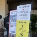 [조조칼국수 광교점] 유튜브 휴먼스토리로 유명한 맛집 내돈내산솔직 후기, 주차장 안내