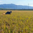 대동테크 이미지