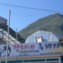 강쇠네흑돼지 이미지