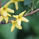 생명+중첩 이미지