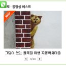 지동 이미지