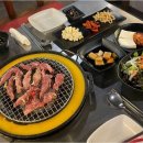신마포갈매기 네이버블로그