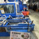 장성 | 가락시장 횟집 맛집 장성수산 장성오마카세 회 포장 후기