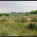 성송 버스정류장 이미지