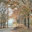 옥천1리 이미지