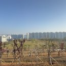 허브숲