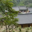 (주)달리고 이미지