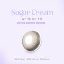 정감안경 위드렌즈 이미지