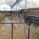 문봉낚시터 이미지